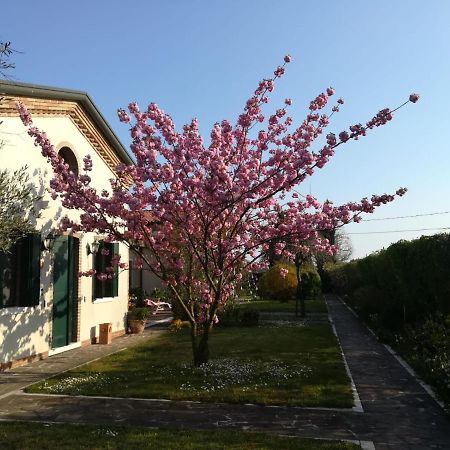 Casa Pianta Hotel Cavallino-Treporti Ngoại thất bức ảnh